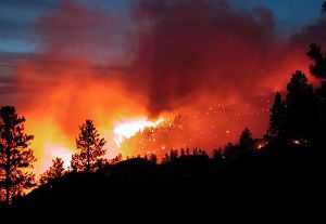 В США масштабные лесные пожары