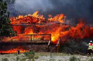 Лесные пожары в США сожгли целый город