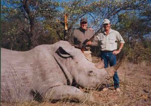 В ЮАР от рук браконьеров погибли 100 носорогов