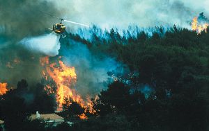 Из-за лесных пожаров в США эвакуированы тысячи человек 