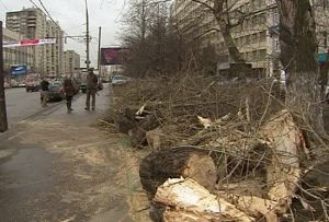 Ураган в Москве травмировал людей