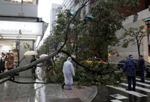 Тайфун принес в Японию оползни и ливни 