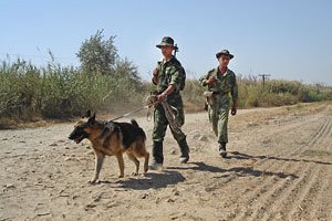 Таджики отбили у афганских бандитов полтора центнера гашиша