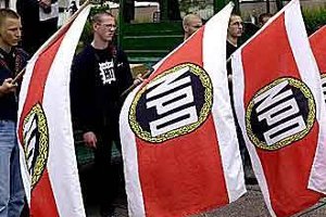 Правительство Германии отказалось участвовать в запрете неонацистской партии