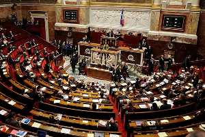 Депутаты французского парламента разрешили оскорблять президента