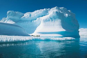 Гринпис хочет предоставить Арктике статус заповедника