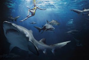 На пляжах Египта замечена акула-людоед