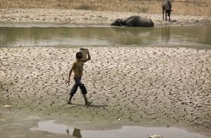 В Индии сильная жара погубила около 100 человек