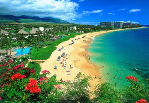 Миллиардер из США купил остров на Гавайях