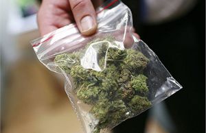 В Новой Зеландии марихуана продается в автомате