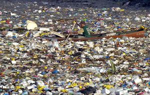 В Тихом океане мусорный остров стал больше в сто раз