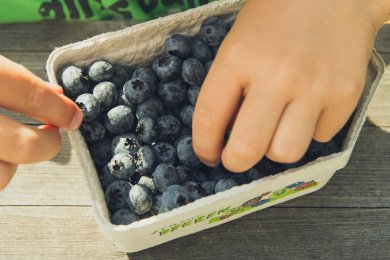 Як змусити дитину їсти ягоди та фрукти