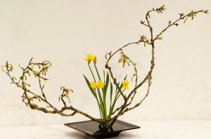 Икебана: искусство расстановки цветов 