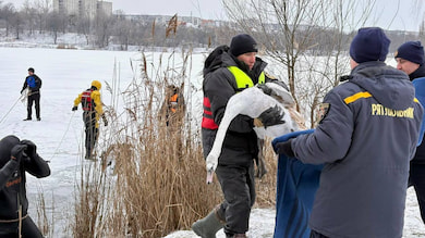 Сумські рятувальники визволяють диких птахів, які попали в крижану пастку на озері Чеха