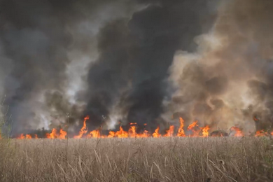 У Сумах рятувальники ліквідували масштабне загоряння сухої рослинності