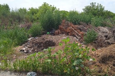 У Старому Селі під Сумами знайшли сміттєзвалища: влада не реагує