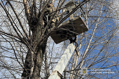 У Сумах знешкодили бойову частину ворожого безпілотника, яка застрягла на дереві в парку