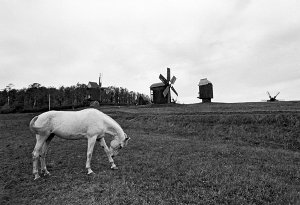 Фотовыставка в Сумской муниципальной галерее