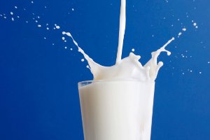 Против снижения закупочных цен на молоко протестуют жители Бурынского и Конотопского районов