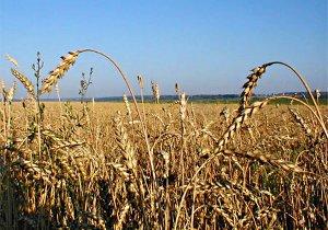 В Сумском облсовете обсудили европейские перспективы развития агробизнеса