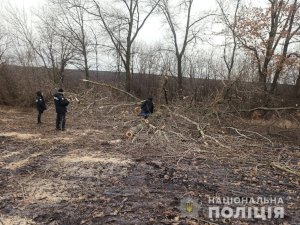 На Сумщине ветка дерева убила 29-летнего мужчину