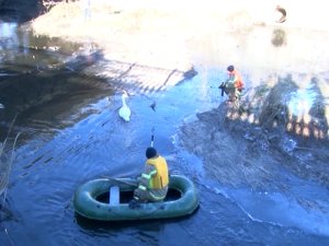 В Сумах спасатели вытащили из «ледяного плена» раненого лебедя
