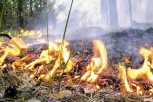 Смерть двух людей во время поджога травы