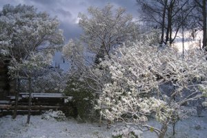 Город замело