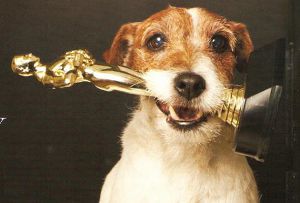 В Голливуде прошла собачья церемония «Оскар»